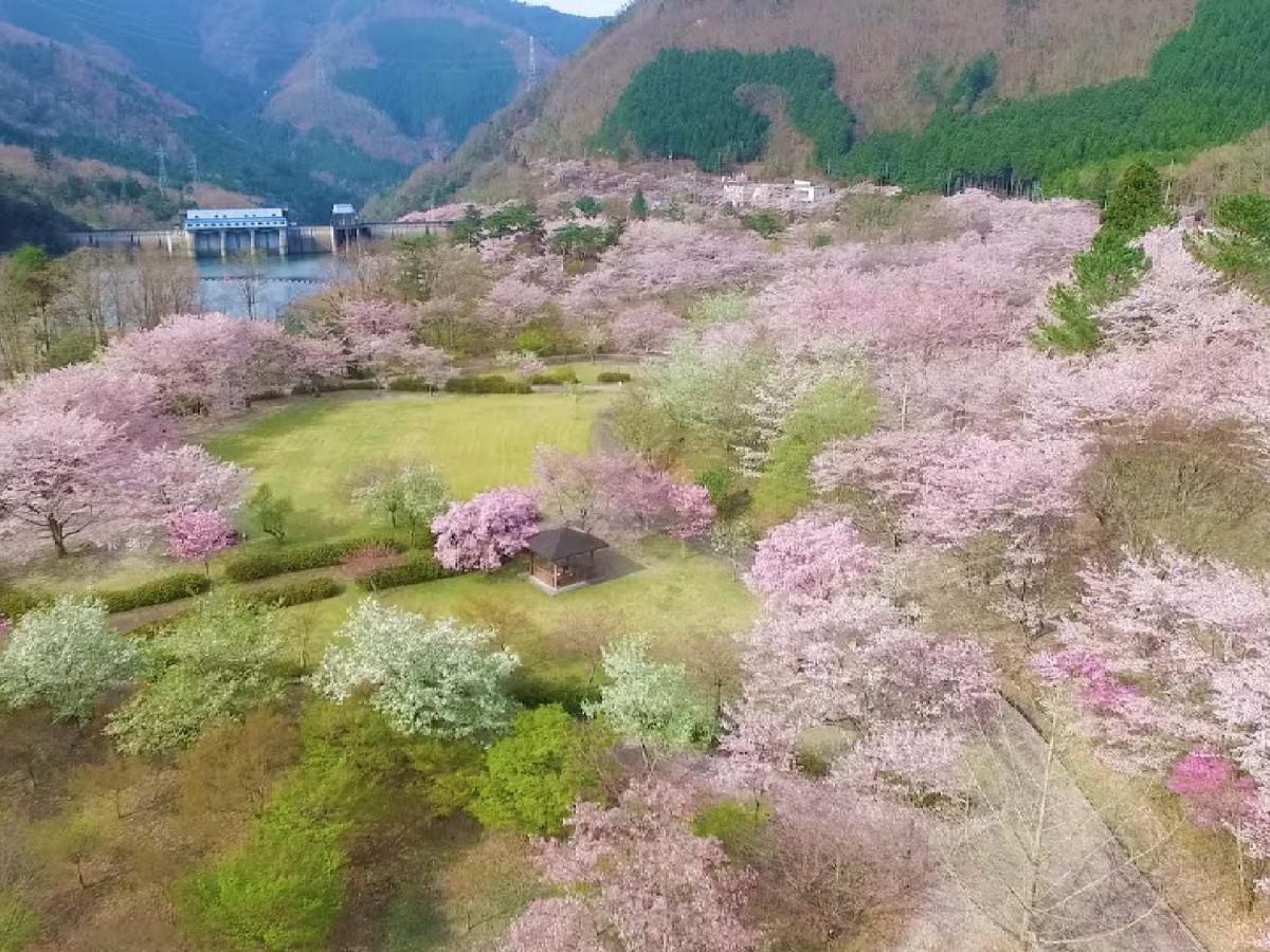 Ryokan Kigusuriya Nantan city Esterno foto